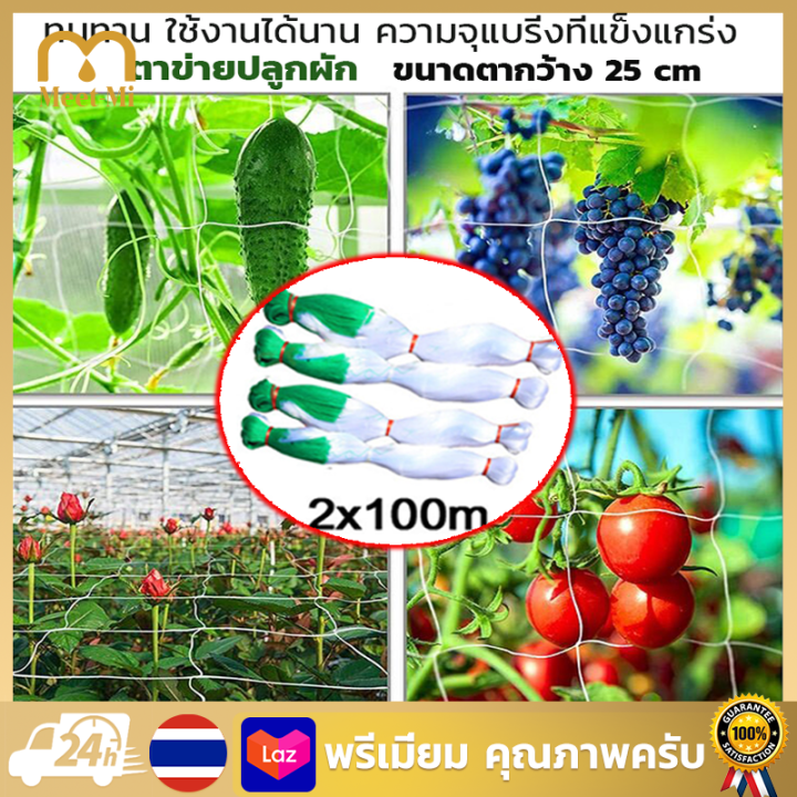 อวนแตง ตาข่ายปลูกผักไนล่อน ตากว้าง 25 ซม.