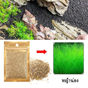 ลดราคา ส่งไว เมล็ดพันธุ์ไม้น้ำ เมล็ด​ไม้น้ำ ต้นไม้ปลูกในน้ำ ดินปลูกไม้น้ำ สร้างระบบนิเวศ 5กรัม ต่อซอง water plant seeds