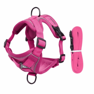 OUTOPEN Reflective Cat Harness and Leash Sets Adjustable Vest Style Dogs Accessories Escape Proof Kawaii No-Pull Chest Strap Outdoor