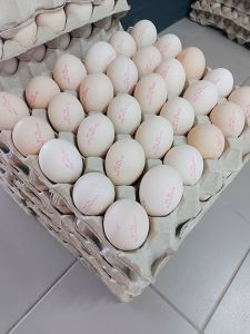 Healthy Probiotic Ma Cao Egg 30 Pcs Grade A 农场直运益生菌马草蛋 (Klang Valley Only)