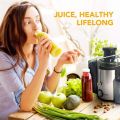 Original Electric Juicer Extractor Machine JH-3028 Juicer Maker Multifunctional Household High quality Juice. 