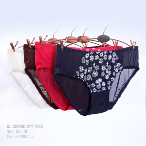 Combo 02-06-10 Quần Lót Nữ PALTAL Chất Voal Lưới Co Giãn Thoải Mái Lưng Vừa Phối Ren Cao Cấp- Giao Màu Ngẫu Nhiên - 077p 7265