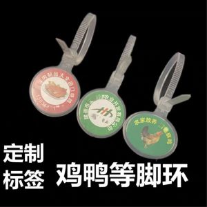 liontin hewan peliharaan multifungsi anti pemalsuan keren zeorfarm