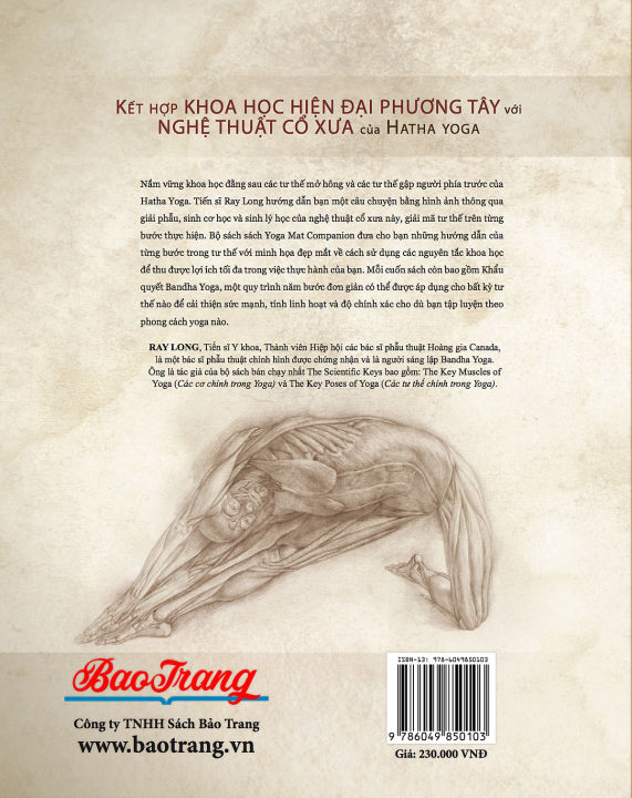 Giải phẫu Các tư thế Mở Hông và Gập Người phía trước - Yoga Mat ...