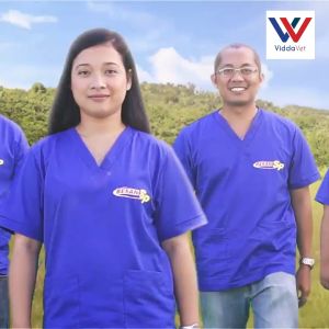 Bexan SP Unahco 100 ml Vitamin B-complex + Liver Extract for pets swine pig livestock cattle sheep goat 100ML BEXAN SP