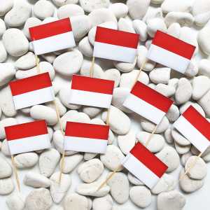 Dirgahayu RI Kemerdekaan RI Indonesia Independence Day Merdeka HUT Bendera Republik 80 th Tahun Tumpeng Cake Topper Cupcake Pudding Hiasan Dekorasi Kue Flag Banner Stiker Sticker Merah Putih Bunting Backdrop Spanduk Paper Fan Kipas Kertas 1 set