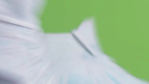 Giày Bóng Đá Cao Cổ Xuyên Biên Giới tf Bãi Cỏ Nhân Tạo Đinh Tán FG Giày Thể Thao Tập Luyện Chân Da Đinh