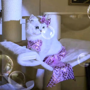 Hateli Mèo Trang Phục Nàng Tiên Cá Sáng Tạo Halloween Dễ Thương chó con Váy Vật Nuôi Mặc Quần Áo Đèn Flash váy cho mèo Áo Trang Phục Cosplay Cho 2-6Kg Vật Nuôi