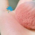 Phấn Má Hồng 3CE MOOD RECIPE FACE BLUSH ROSE BEIGE MONO PINK PEACH SPLASH DELECTABLE CITY MAUVE [HÀNG CHÍNH HÃNG]. 