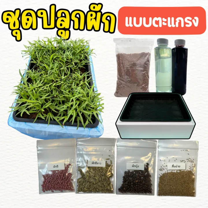 ชุดปลูกผักแบบตระแกรงพร้อมขุยมะพร้าว สำหรับผักสวนครัว