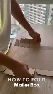 SET OF 10 Mailer Corrugated Carton Karton Shipping T6 30 X 19.4 X 6.4 CM PACKERS PH