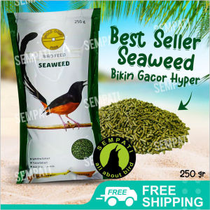 SEMPATI Gold Coin Seaweed 250 Gram Goldcoin Rumput Laut Hijau Ijo Voer Pur Pakan Makanan Burung Murai Kacer Anis Cucak Pleci Dll GCS250