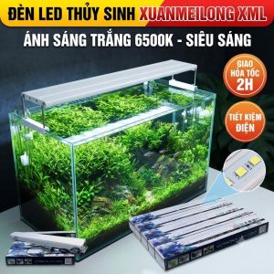 Đèn LED Thủy Sinh Xuanmeilong XML Ánh Sáng Trắng Bể Cá 20-90cm Tiết Kiệm Điện