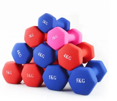 [SG STOCKS] Hex Vinyl Dumbbell 2KG / 4KG / 6KG (Single Piece) Hex Shape Dumbbells / Weights