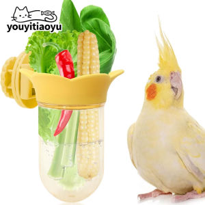 YOUYITIAOYU Parrot Feeder Parrot Hydroponic Bottle Reusable Vegetable Sprout Fruit Freshness Container