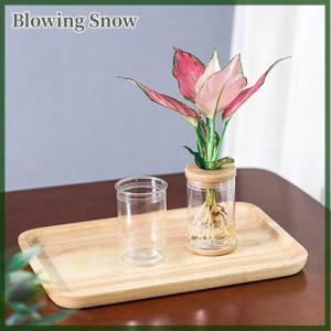 Blowing Lazy Transparent Flowerpot Hydroponic Automatic Water Absorption Flowerpot