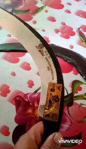 EGREK PALM KING PRO MATA DAN HOLDER