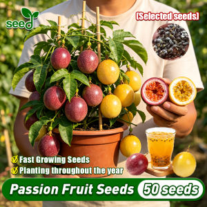 [Selected Seeds 50pcs] 100% Legit Passion Fruit Seeds - Fresh Red & Yellow Passion Fruit Seeds for Planting Mixed Passion Fruit Seed Passion Fruit Live Plant Seeds Balcony Potted Dwarf Fruit Bearing Trees Seedlings Climbing Plants Seeds for Gardening