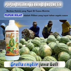 PUPUK KILAT Warna Coklat - Nutrisi Optimal untuk Tanaman Buah dan Sayur