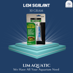 Lem Sealant 30 Gram Clear