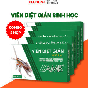 Combo 5 hộp diệt gián sinh học AMB diệt sạch gián tận gốc không gây độc hại an toàndễ dùng