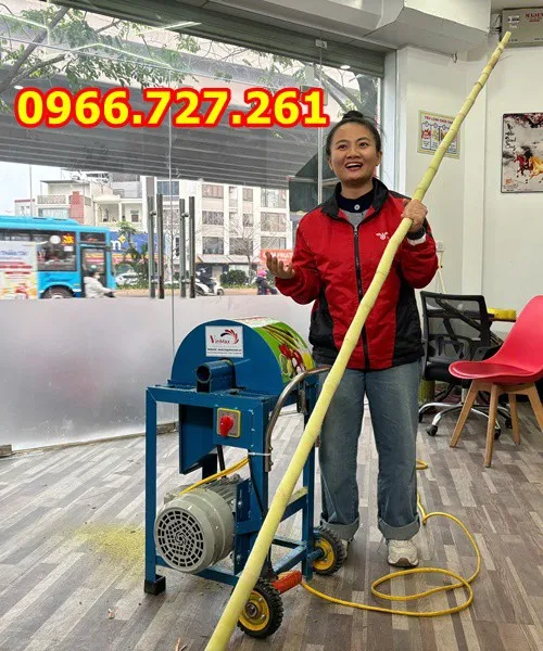Máy cạo vỏ mía siêu sạch 1.5kw