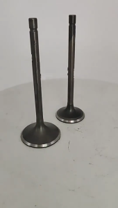 ก้านวาล์วไอเสียคู่มือก้านวาล์วซีลน้ำมันรับไอเสียเข้าสำหรับ CG250เครื่องประดับทดแทนอะไล่สำรองเครื่องยนต์250CC