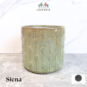 The Leaferie Siena Flowerpot  flowerpots . flower pot . plant pots . planter . planters . Ceramic