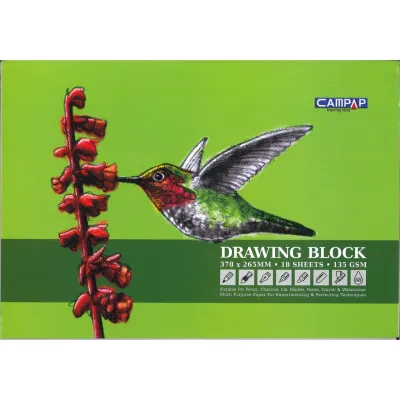 CAMPAP DRAWING BLOCK 378 x 265MM 18 SHEETS 135 GSM INSPIRING IDEAS GREEN 图画簿