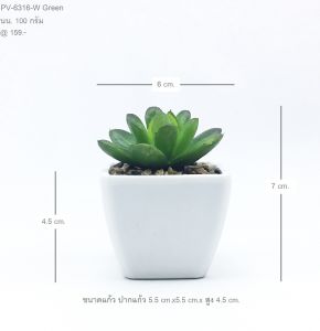 กระถางแคคตัสปลอม สำหรับต้นไม้ปลอมมินิมอล และต้นไม้ตกแต่งโต๊ะ