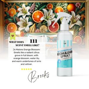 My Home 111 ORANGE BLOSSOM Premium Room and Linen Disinfectant Spray Paraben Free Car Bathroom Home