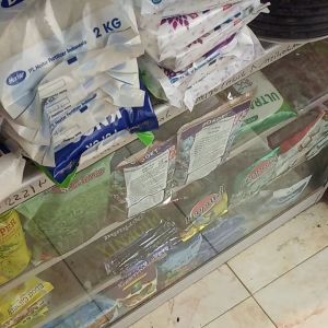 Benih BIBIT Kangkung 1 Kg SUPER MURAH Kemasan Pabrik
