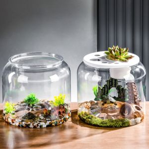 ER52858 Plastic Round Fish Tank Unbreakable Transparent Hydroponic Fish Tank Practical with Cover  Turtle Tank For Betta Turtle Frog