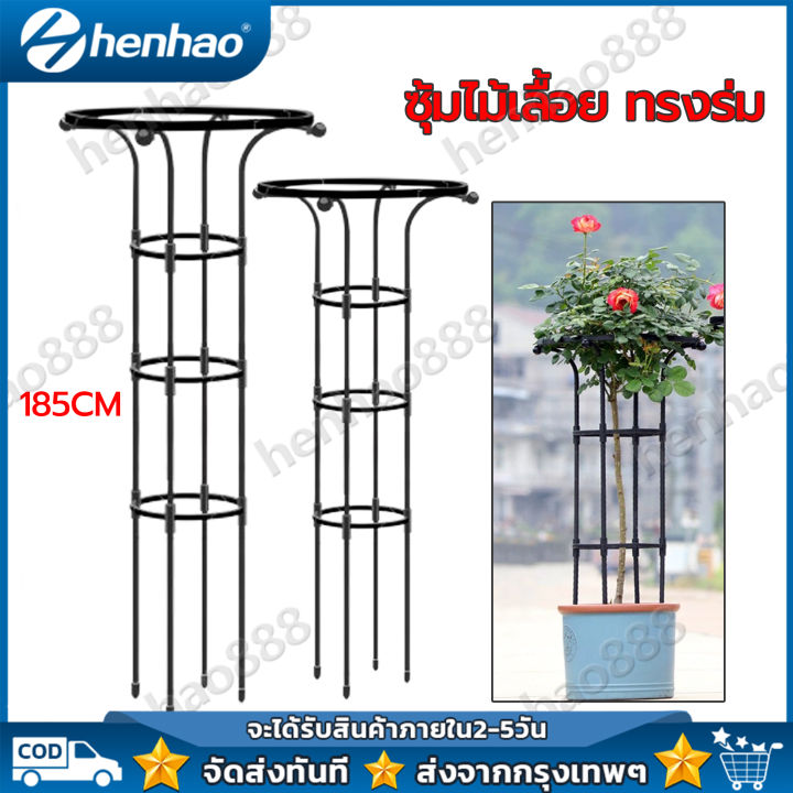 ซุ้มกุหลาบเลื้อยเหล็กอัลลอยด์น้ำหนักเบา ปรับความสูงได้ 185x25 ซม.