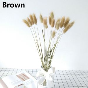 UNIITY 20pcs Home Decoration Props Pastoral Style Natural Material Plant Stems Lagurus Ovatus Artificial flowerss Bouquets Rabbit Tail Grass Bunny Tails