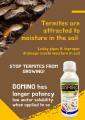 Domino 5SC Fipronil Termiticide Termites Wood Anay Killer Bukbok Termite Killer Spray No Odor Odorless 1 Liter. 