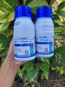 [TRUNG THIEN THINH] Thuốc trừ bệnh rỉ sắt thán thư khô vằn lem lép hạt BRETIL SUPER 300EC chai 240ml