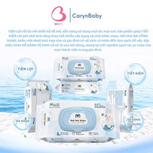 Khăn ướt Molli gói 80 tờ Vải không dệt mềm mại Không mùi An toàn cho Mẹ và bé CarynLAZADA