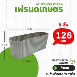 กระถาง กระถางวงรี กระถางรางยาว เบอร์ 12 13 4 12.5 นิ้ว สีครีม 5 ใบ ชิ้น อัน