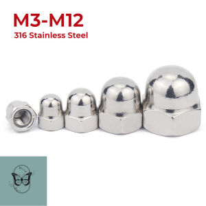 HCdailyToolsMix 316 Stainless Steel Acorn Nuts M3 M4 M5 M6 M8 M10 M12 Hex Cap Nut Domed Hex Acorn Cap Decorative Cover Dome Nuts
