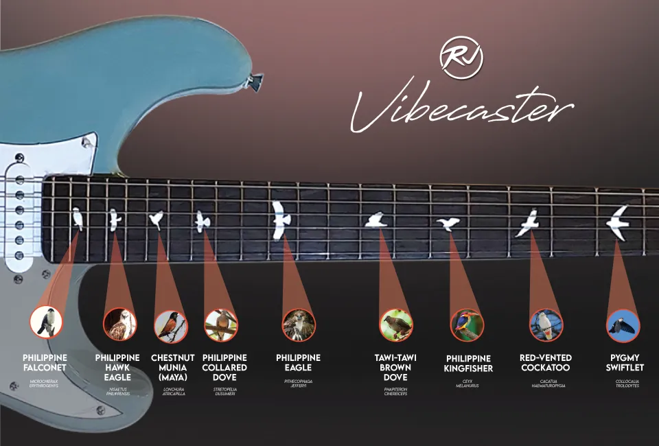 ギター RJ Vibecaster RJ Vibecaster Electric Guitar (Silversky, Stratocaster) | Lazada PH