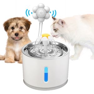 Automatic Pet Fountain with LED Light: Your Ultimate Guide