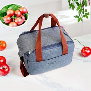TANTUANG ถือด้วยมือ กระเป๋ากล่องอาหารกลางวันแบบมีฉนวน ถุงเก็บของ ป้องกันน้ำ กระเป๋าโท้ต แบบพกพา ฟอยล์อลูมิเนียม กระเป๋าอาหารกลางวันสำนักงาน นักเรียน