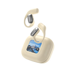 ROTX Wireless Stereo Earphone LED Full-color Touch Screen Real-time AI Languages Translation True Wireless Noise Reduction Multifunctional Headset for Travel Business Meeting