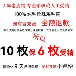 【店铺热门爆款】【4976人好评】100%纯种珍珠鸡受精蛋种蛋受精卵可孵化小鸡孵化蛋观赏真珠鸡七彩