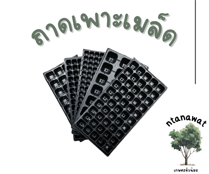 ถาดเพาะกล้าหนา 0.8 มม. สำหรับเพาะเมล็ดและไฮโดรโปนิกส์