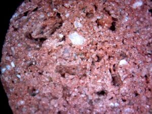 *LOCAL* Bio Max ultra 2kg premium aquarium filter media