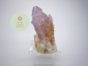 SG LOCAL - Authentic Spirit Quartz 南非精靈水晶