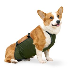 LABAICAI Breathable Pet Dog Bellyband Clothes Anti-dirty Waterproof Dog Costume Practical Windproof Dog Protective Belly Cover For Small and Medium Dogs