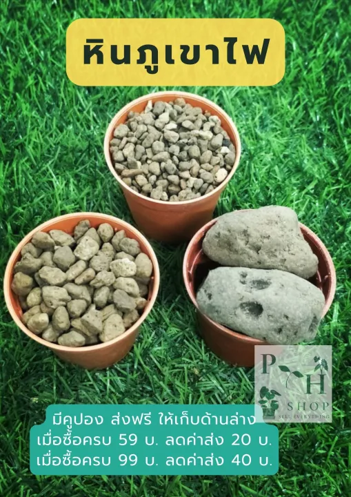 หินภูเขาไฟ เบอร์ 00, 01, SSS 500 กรัม อุดมแร่ธาตุสำหรับพืช